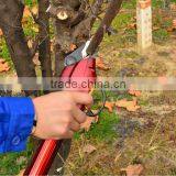 Power Pruner / Electric Shears/ Electric Shears thumbnail-1