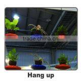 Assemble Floating Island thumbnail-4