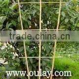 Bamboo Trellis Fence Expanding Bamboo Fence thumbnail-3