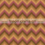 Geometric Design Screen Stamped Raschel Blanket/mink Royal Blanket/piping Blanket