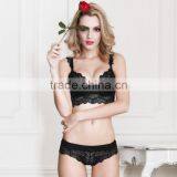 3/4 Cup Nylon & Lace Bra and Panties Set, Different Size & Hollow & Breathable, Floral, More Colors, Sol thumbnail-2