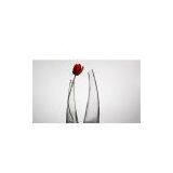 Glass Vase thumbnail-1