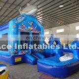 Best Seller Fish Theme Dolphin Combo With Slide