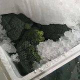 Fresh Broccoli thumbnail-5