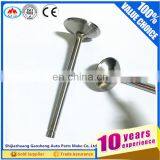 TD42 TD25 TD27 Z20 Z24 VQ35 VQ30 VG33 YD25 Forklift Spare Parts Engine Valve Used for Nis-san thumbnail-5