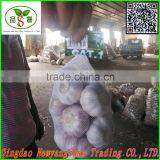 4.5cm-5.cm,5.cm-6cm,6cm up Pure White Garlic/white Garlic /organic Garlic Export thumbnail-3