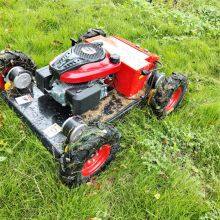 Robot Lawn Mower With Remote Control, China rc Lawn Mower Price, Remote Control Slope Mower for Sale