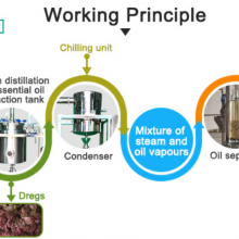 10-30L Cardamom Essential Oil Extraction Distillation Equipment thumbnail-2