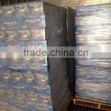 EDIBLE CRAB, RED STONE CRAB thumbnail-4