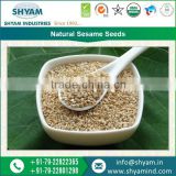 Natural Sesame Seeds, Premium quality, Sortex, purity 99.95% min.