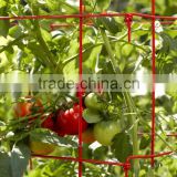 Alibaba tot sell Folding plant tomato support cages
