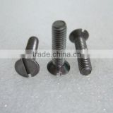 flat head stainless steel slotted screw