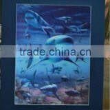 3D Shark Frame Photos 3D Lenticular Framed Wall Photo for Home Decoration