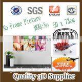 New Material PET 1.5mm No Frame Picture High Quality Promotional Lenticular 3d Pictures