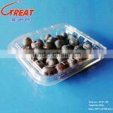 New Products for Sale Fresh Blueberry Plastic Containers thumbnail-4