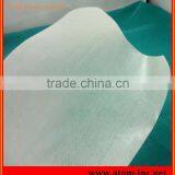 Pingpong Plastico Para Zapato Caliente Hoja