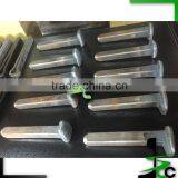 Dog Spikes 19x150 Australian Standard