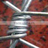 12*12 Types Motto Barbed Wire