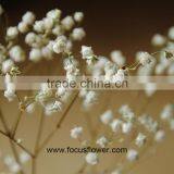 Ornamental Plants Real Touch Flower Onlin Wholesale Shop Baby's Breath thumbnail-5