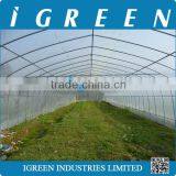 Used Commercial Greenhouse thumbnail-3