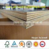 High Quality of 12mm Marine Plywood thumbnail-1