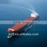 Freight Forwarding Shipping From Shenzhen to BELAWAN,Indonesia