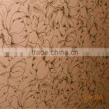 Designed Acid Etched Color Mirror thumbnail-2