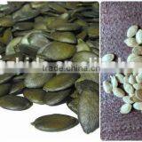 Competitive Price~ 2015 New Crop Shine Skin Pumpkin Seeds, Pumpkin Seeds Kernels