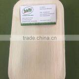 Areca Nut Plates Manufacturers / Supplier in India - Tamil Nadu thumbnail-4