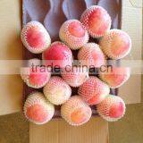 Fresh Apples thumbnail-4