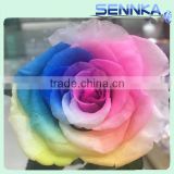 Natural wedding bouquet wholesale rose flowers preserved flower