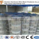 Hot Dipped Galvanized Grassland Fence Mesh Wire Mesh thumbnail-4