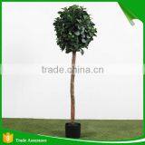 Mini Bonsai Artificial Ficus Trees thumbnail-2