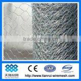 Chicken Wire/hexagonal Wire Mesh (factory)