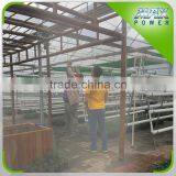 PP Film China Aquapoinics Greenhouse With Aluminum/Hot Galvanized Steel Frame thumbnail-4