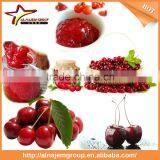 Hot Sale Full Automatic Industrial Cherry Sauce Maker Machine High Viscosity Production Line Rose Paste thumbnail-5
