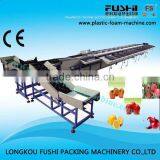 Fruit/Onion Sorting Machine