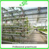 Professional Greenhouse Project Commercial Hydroponic Systems thumbnail-2