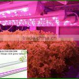 Broad Application 20w T8 Integrated Led Grow Light Tube for Soilless Farming thumbnail-1