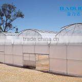 Multi-span pe Film Green House Tomato Green House Pepper Greenhouse thumbnail-2