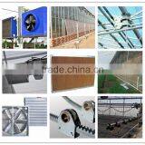 Cheap Multi-span Plastic Greenhouse for Fruits thumbnail-6