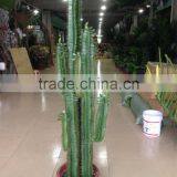 CHY030926 Artifiical 70cm Cactus Modern Home Decoration thumbnail-3