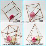 Indoor Plant Greenhouse Rose Gold Frame Hanging Glass Geometric Terrarium thumbnail-5