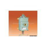 Explosion-Proof Ballasts thumbnail-1