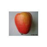 Artificial Vegetable thumbnail-1