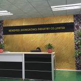 BENEMED (HK) Industry Co. Limted company overview - view 1 thumbnail