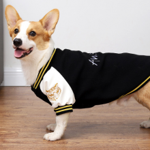 Winter And Autumn Animal Clothing for Small and Medium-sized Dogs Baseball Corgi Pet Clothes Sports Warm Cloth thumbnail-2