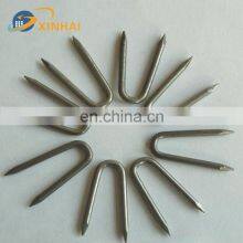 Hot-dipped Galvanized Fence Staples / U-Nails/ U Type Nails thumbnail-4