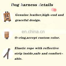 Rope Dog Harness With Matching Leash Handsfree Leash for Running and Walking Long Dog Leash thumbnail-5