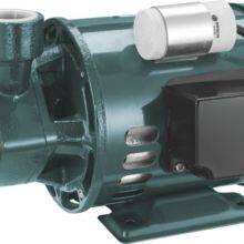 0.5HP CLEAN WATER PUMP 1 INCH thumbnail-3